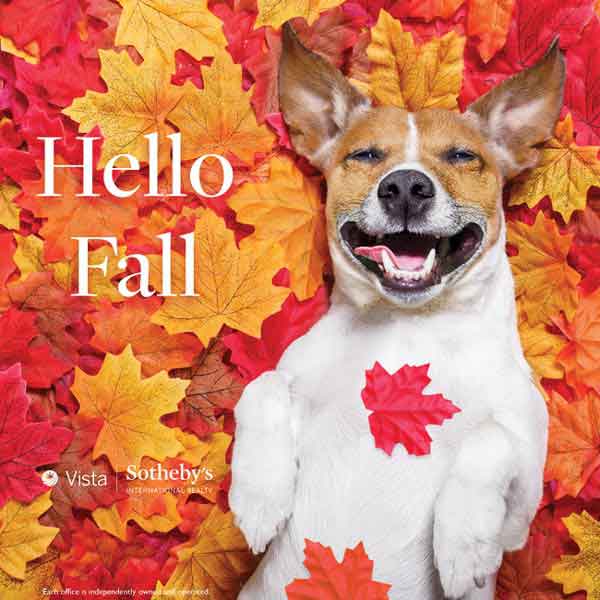 Hellow Fall image